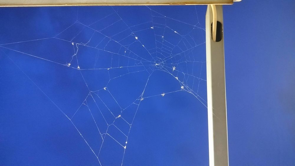 Фотография автора Анастасия Горбачева