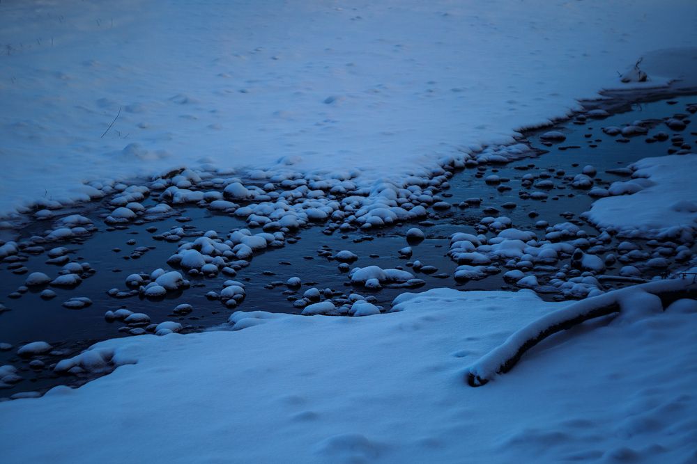 Фотография автора Сергей Удовиченко
