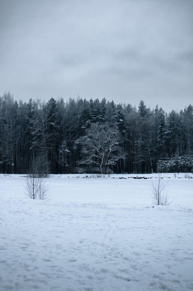 Photograph by  Максим П.