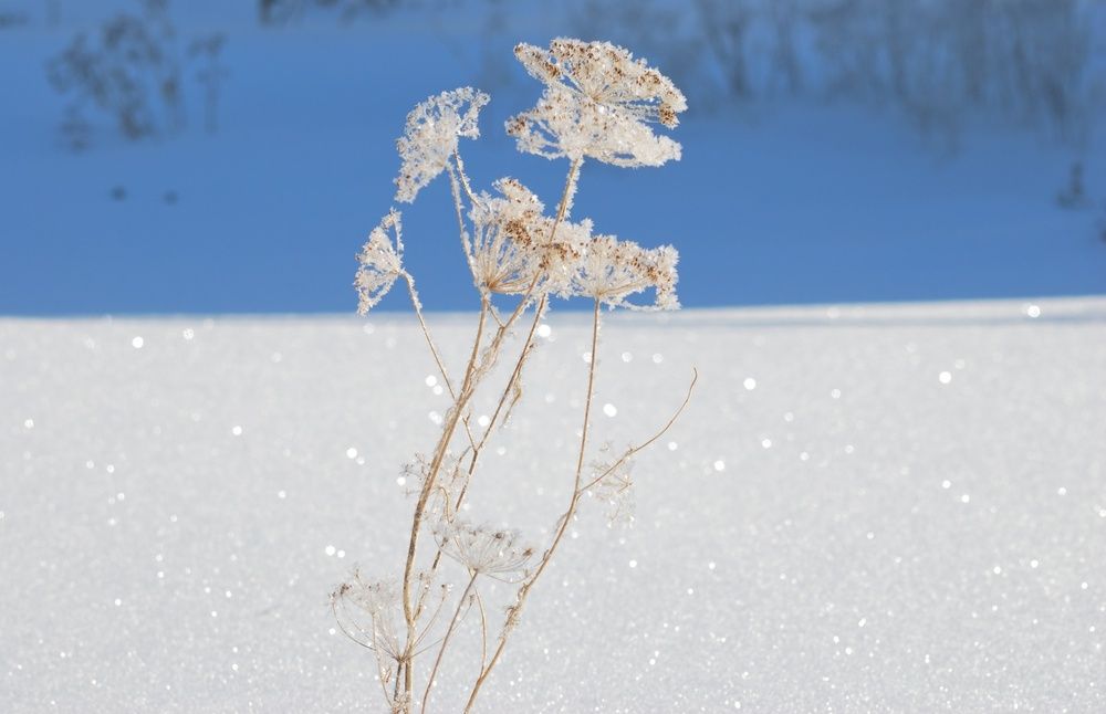 Фотография автора Карпенко Александр