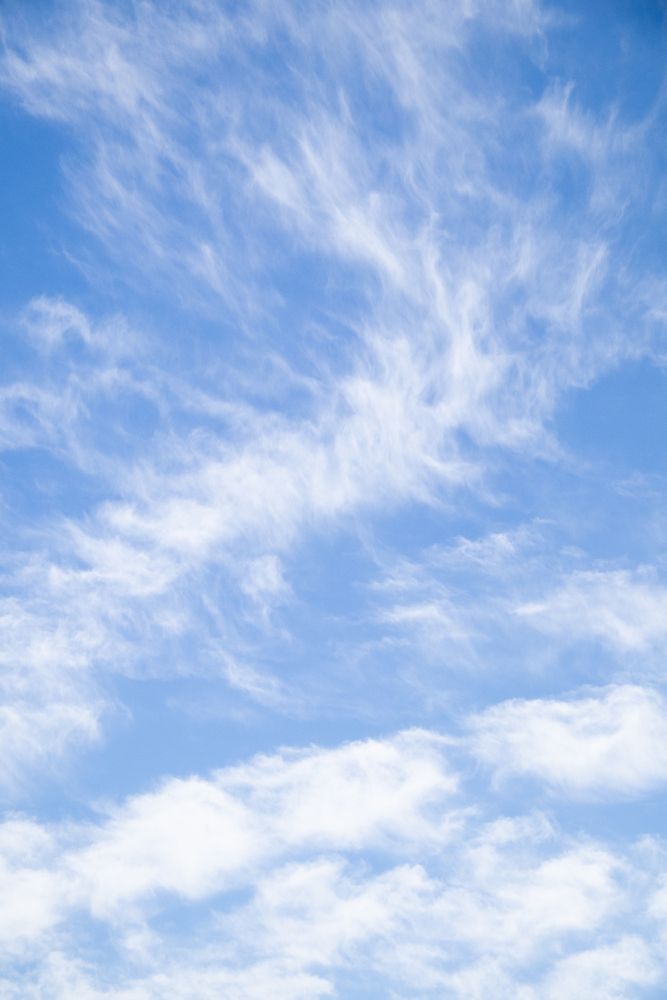 Фотография автора Ксения Золотарь