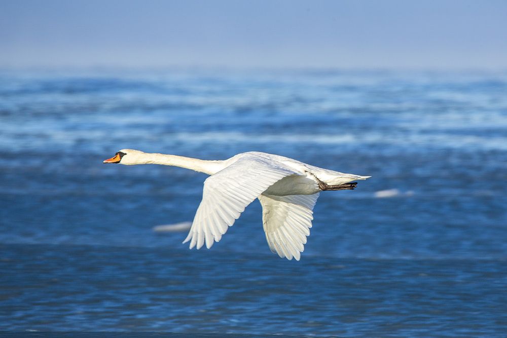 Photograph by Игорь Селин