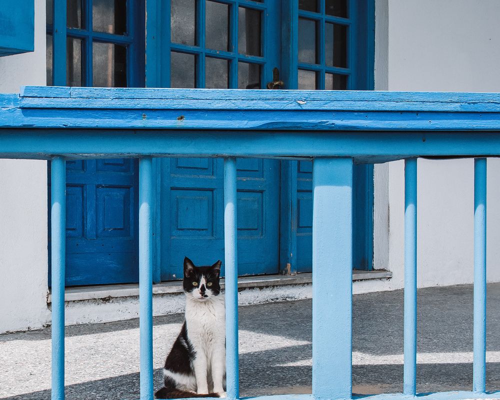 Photograph by Alexandra Sergeeva