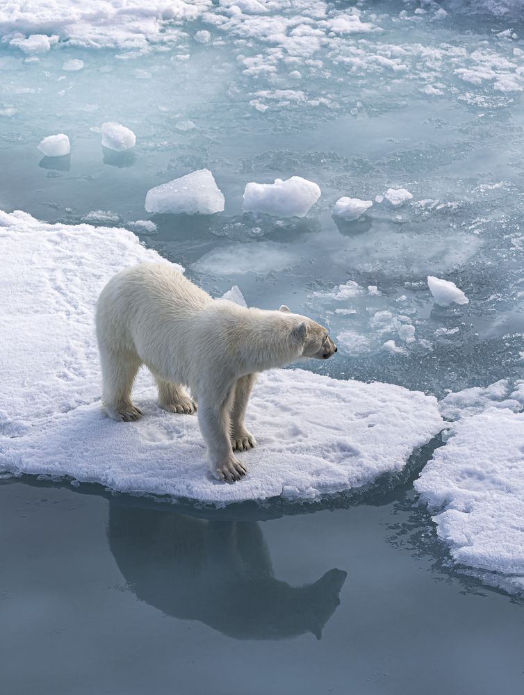 Photograph by Алена Ерошкина