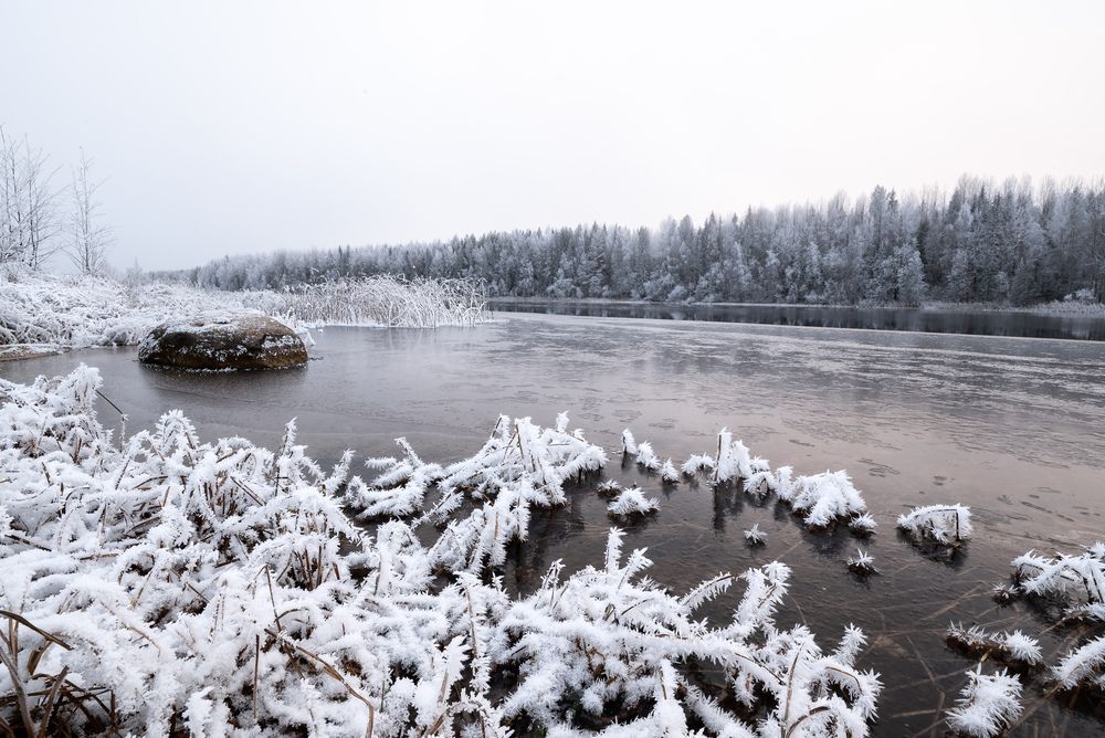 Photograph by Алексей Турчин