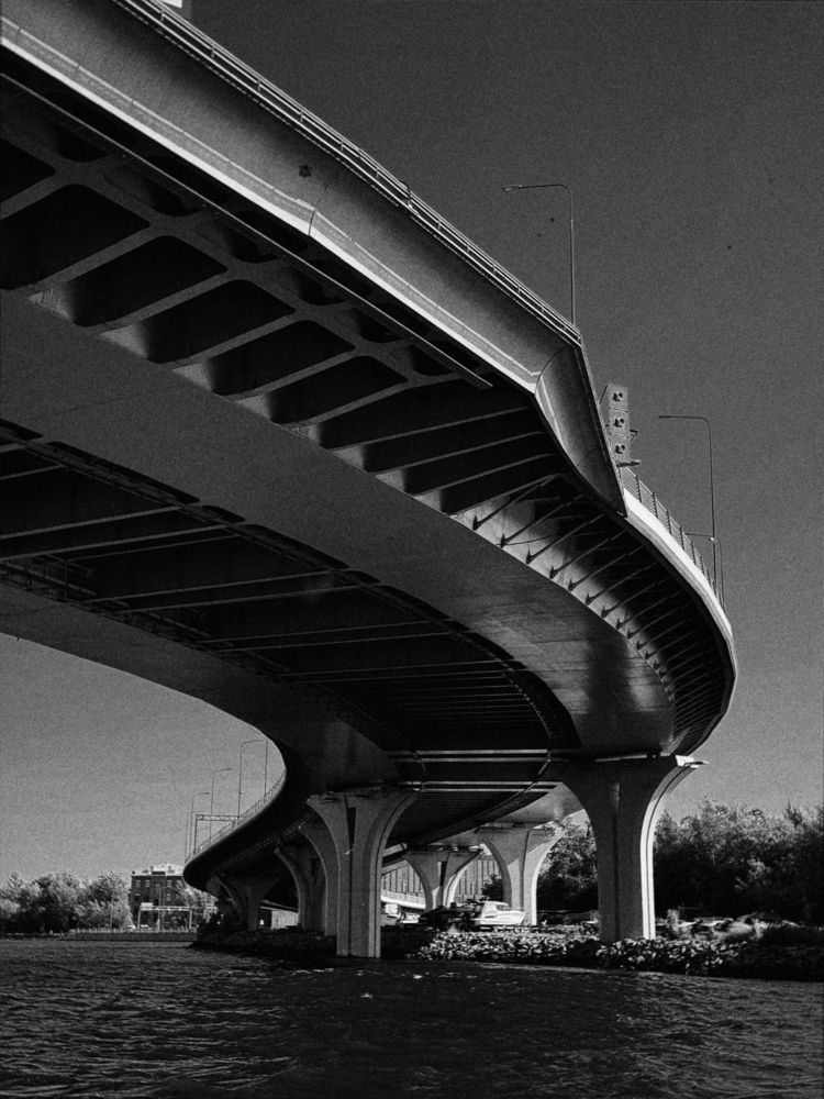 Фотография автора Юлия Белоногая