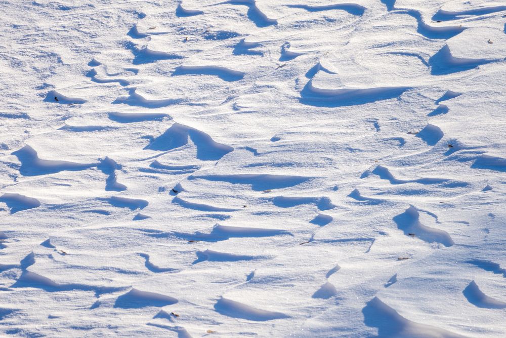 Фотография автора Алексей Поликарпов