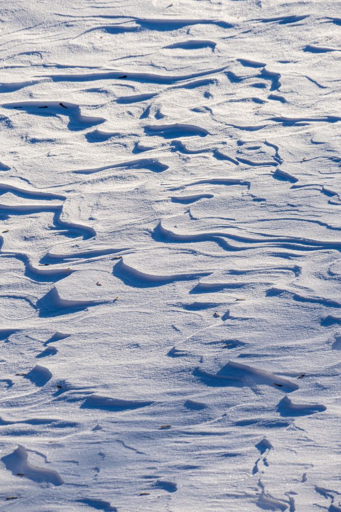 Фотография автора Алексей Поликарпов