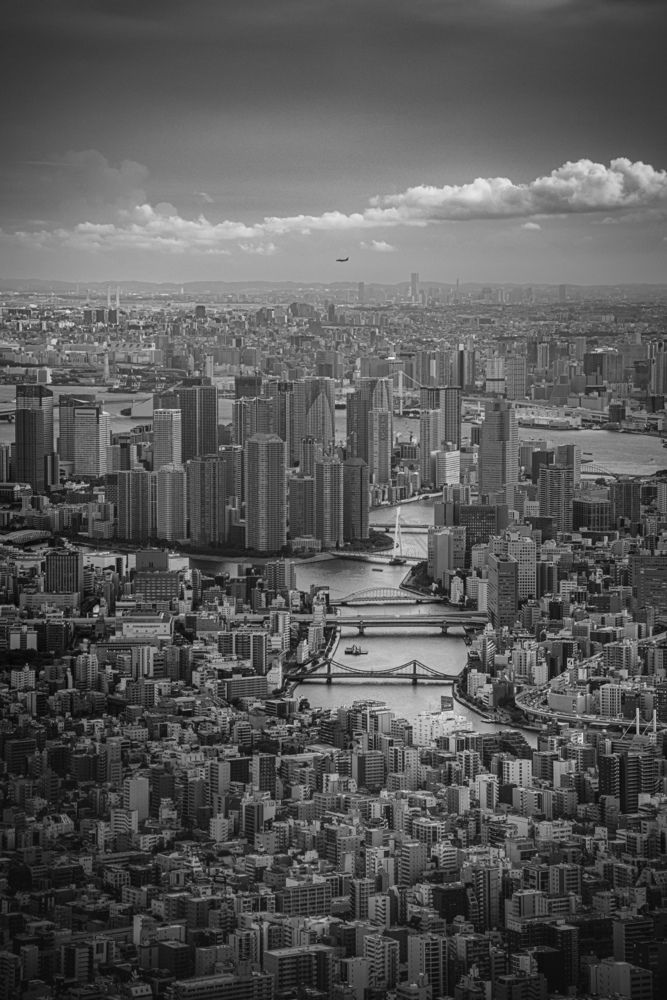 Photograph by iwamoto Reina