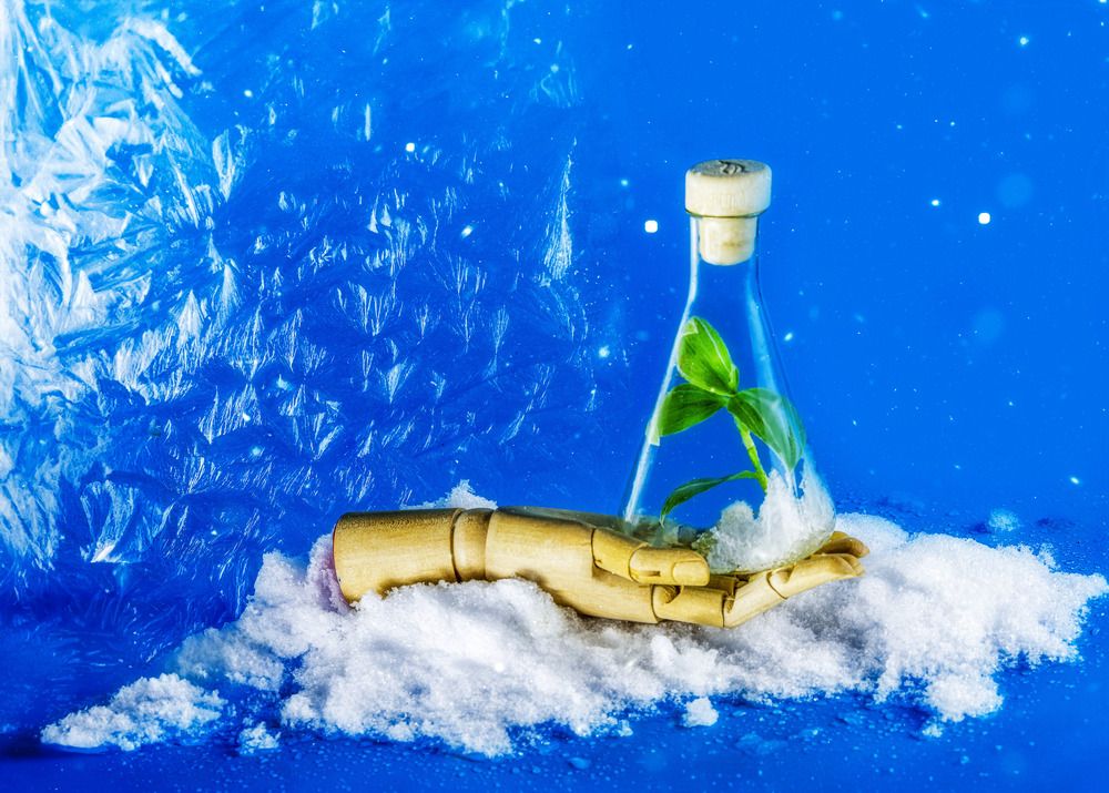 Photograph by Margarita