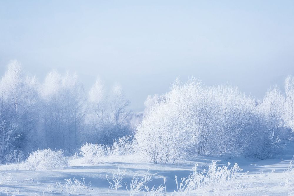 Photograph by Юлия Лушникова