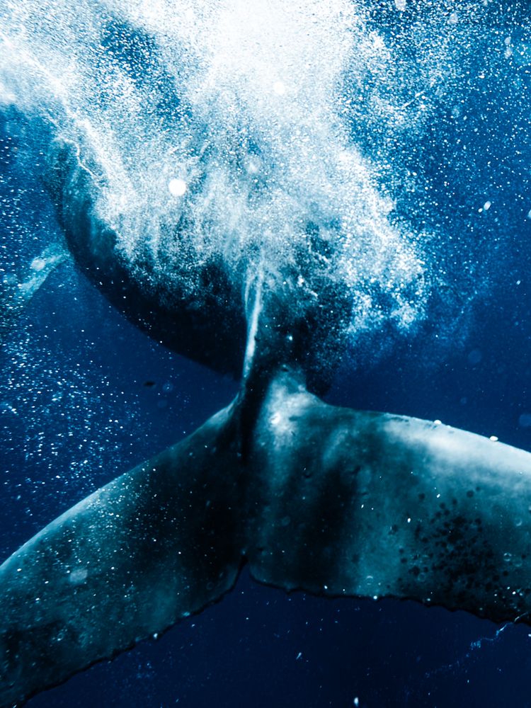 Photograph by nishijima takayuki