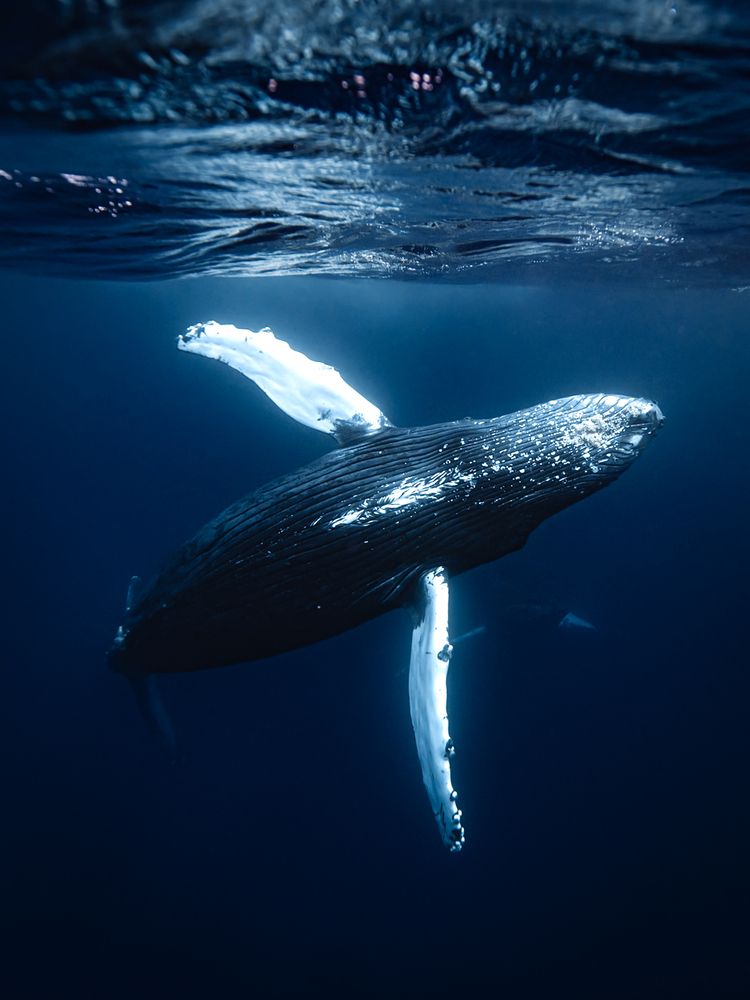 Photograph by nishijima takayuki