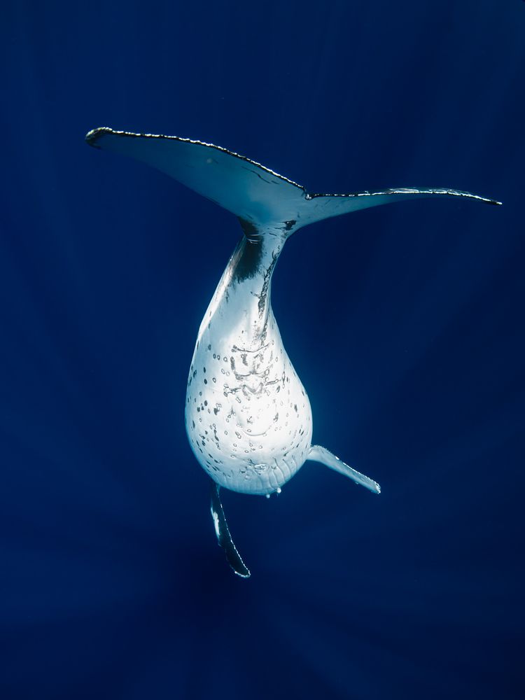 Photograph by nishijima takayuki