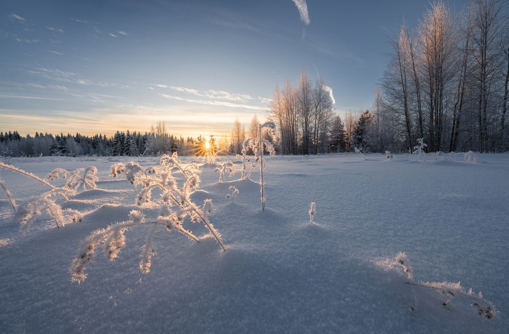 Photograph by Алексей Турчин