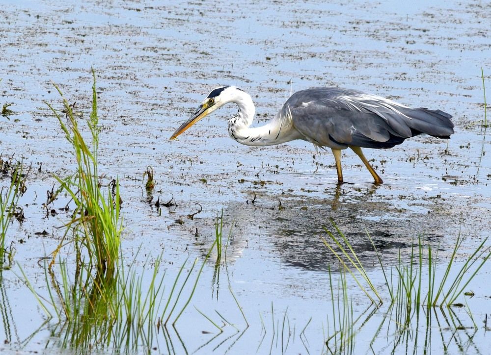 Photograph by Михаил Белоусов