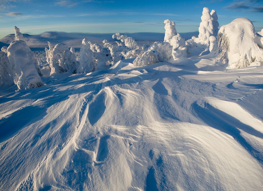 Снежное царство