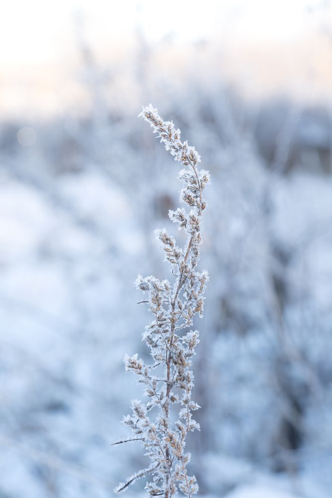 Фотография автора Алексей Поликарпов
