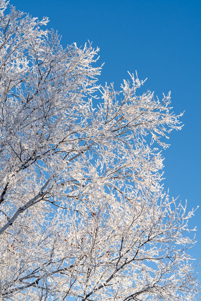 Фотография автора Алексей Поликарпов