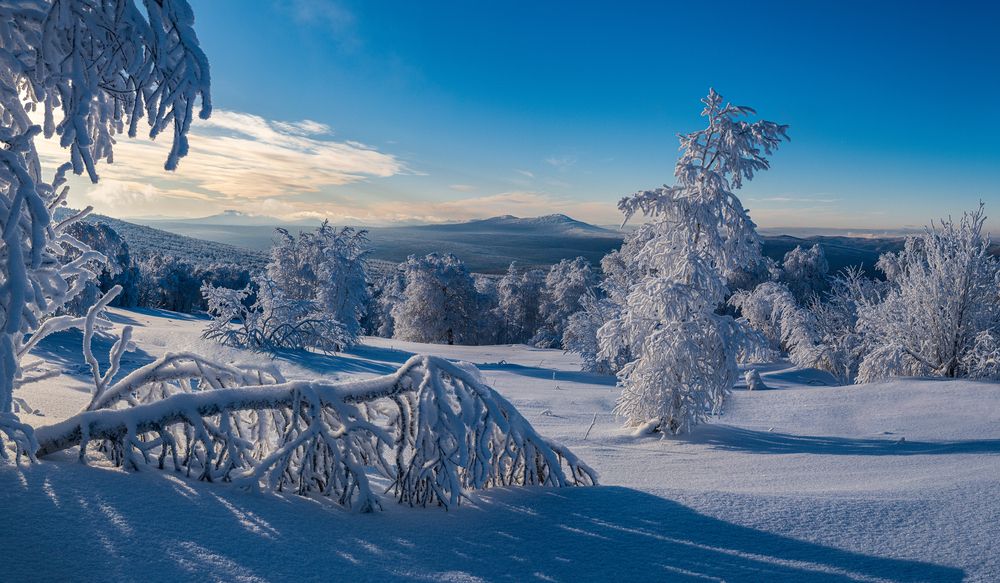 Photograph by Евгений Кармаев