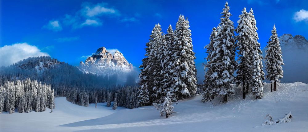 Photograph by Евгений Кармаев