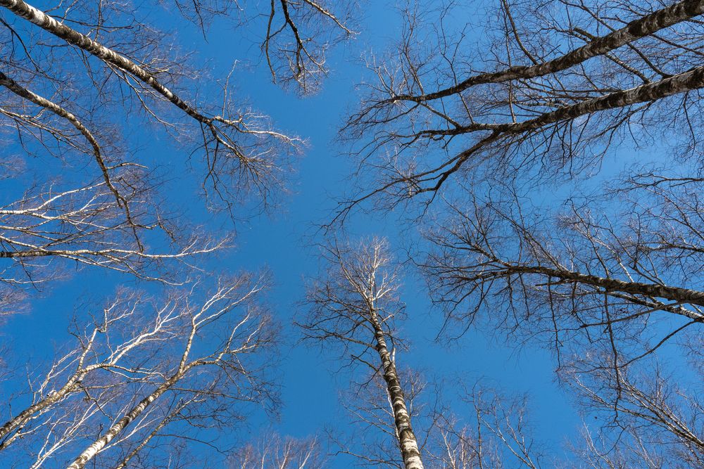 Photograph by Валерий Бычков