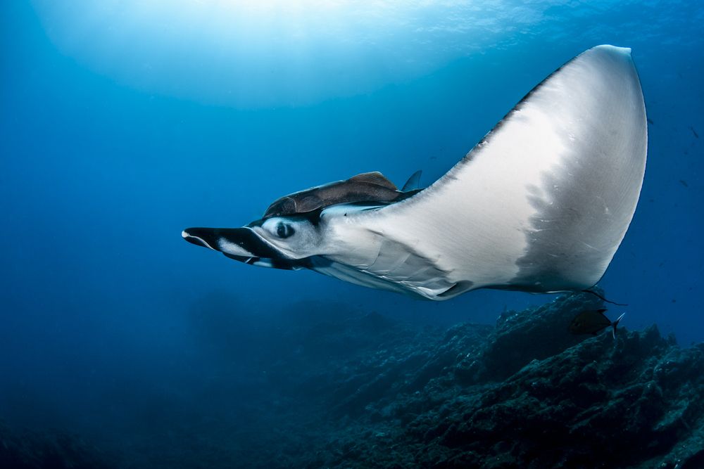 Photograph by Fabi Fregonesi