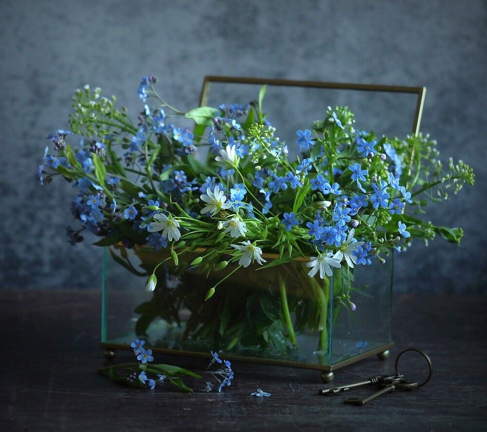 Photograph by Людмила Хрусталева*