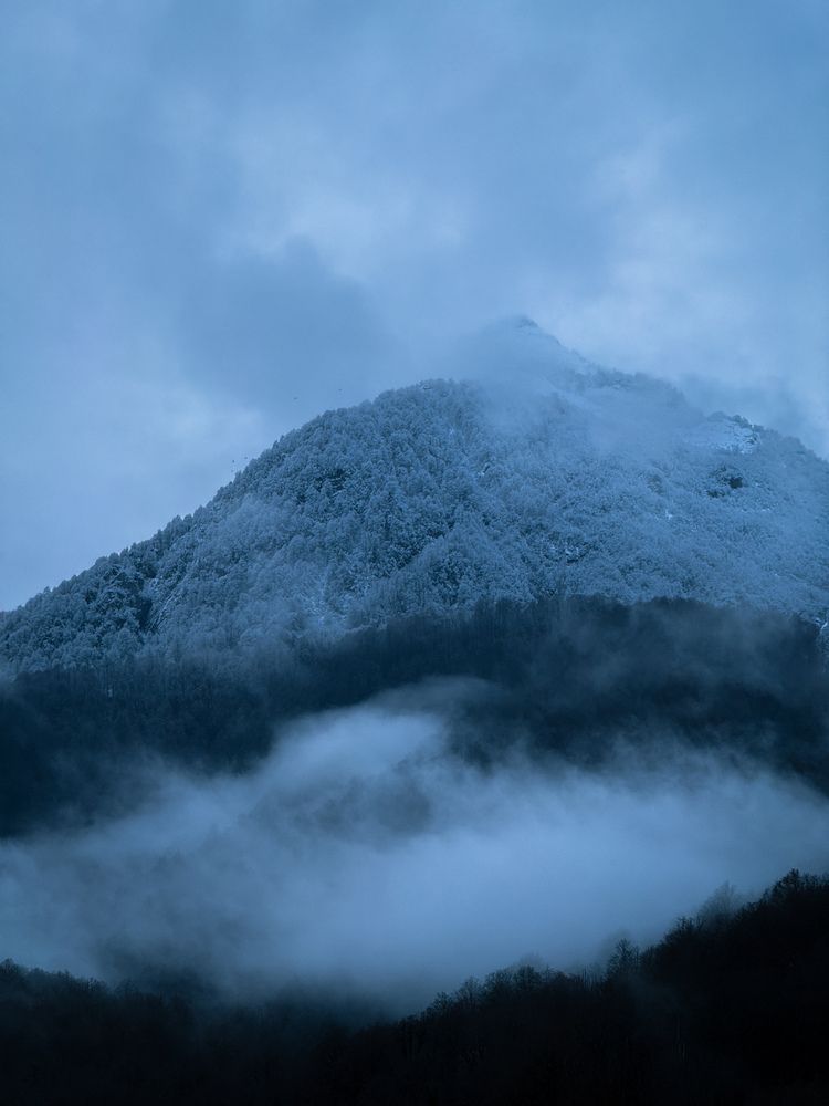 Photograph by Анна Пудовкина