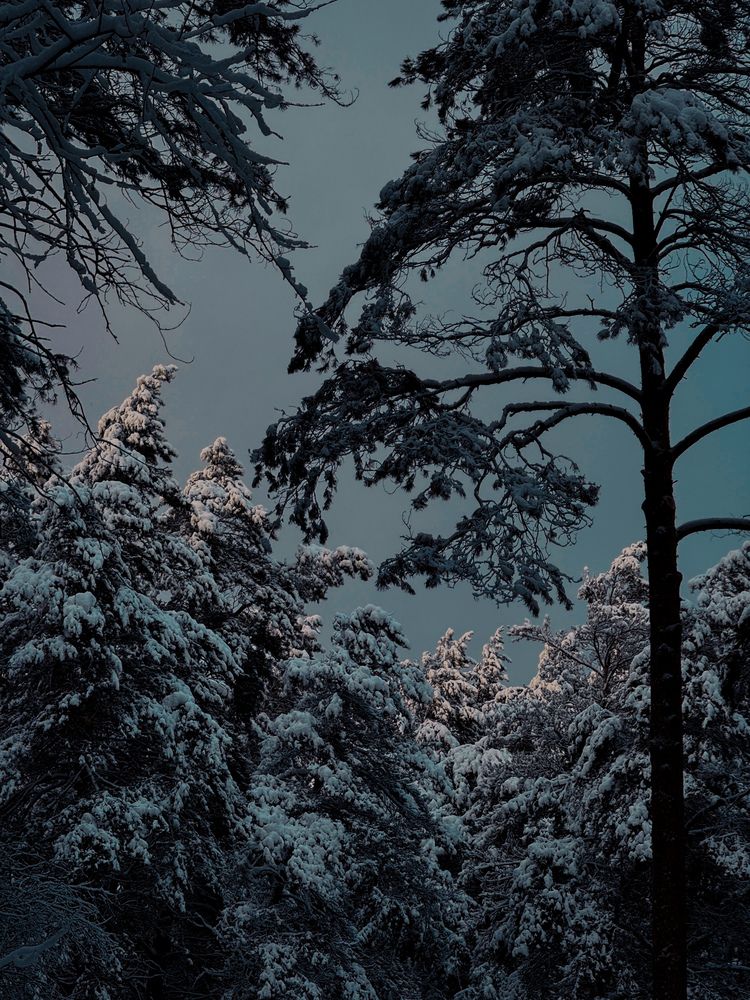 Photograph by Анна Пудовкина