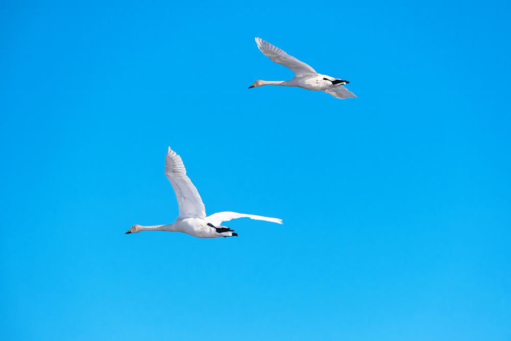 Photograph by Евгений Соколов