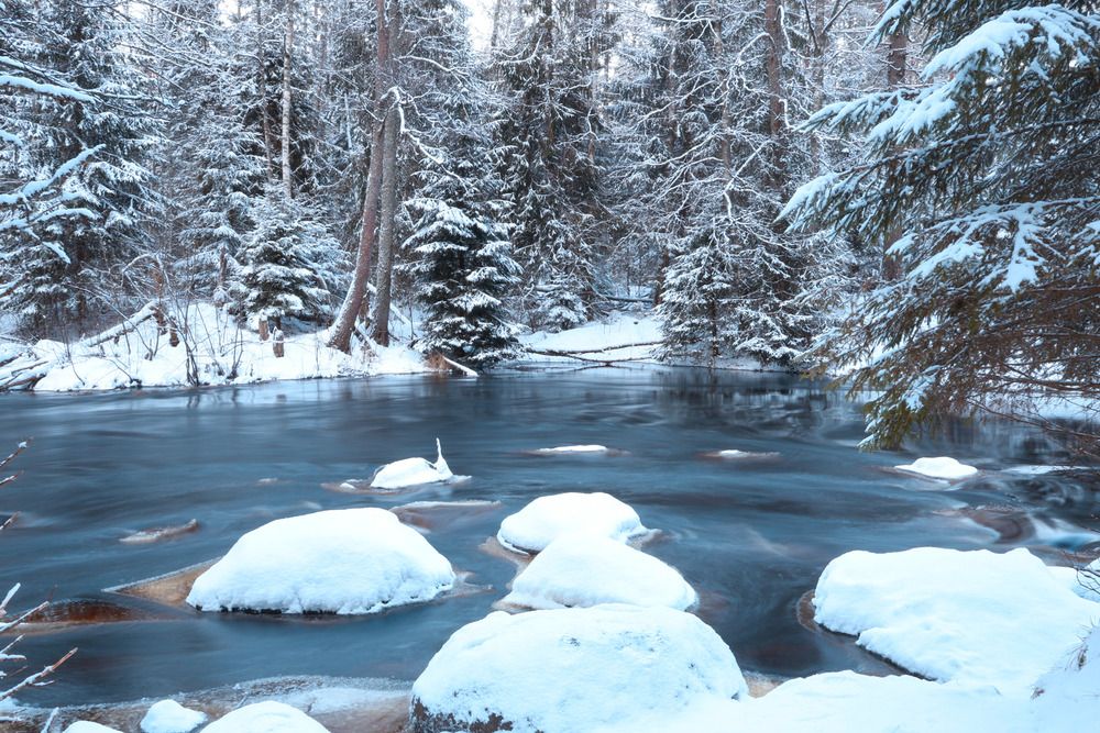 Photograph by Ярослав Качура