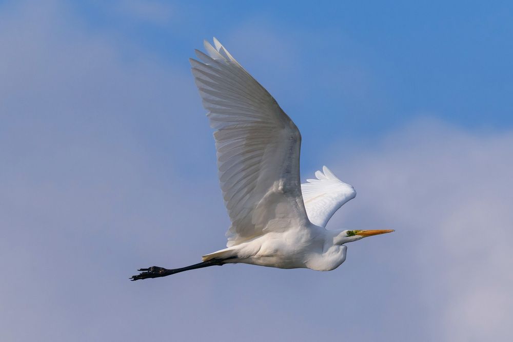 Photograph by Мороз Олег