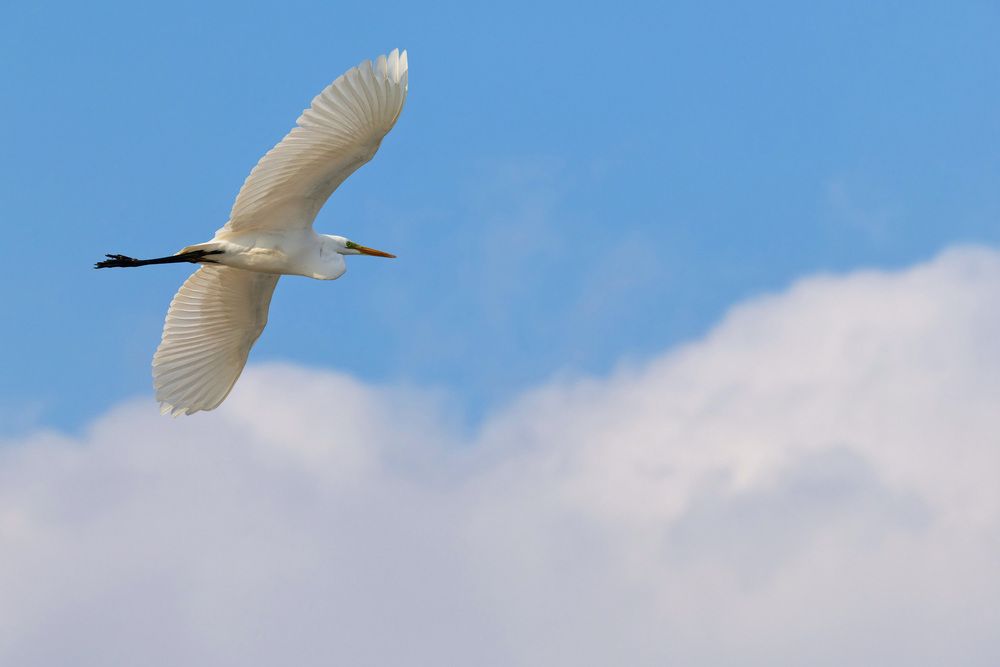 Photograph by Мороз Олег