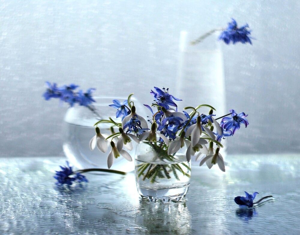 Photograph by Людмила Хрусталева*