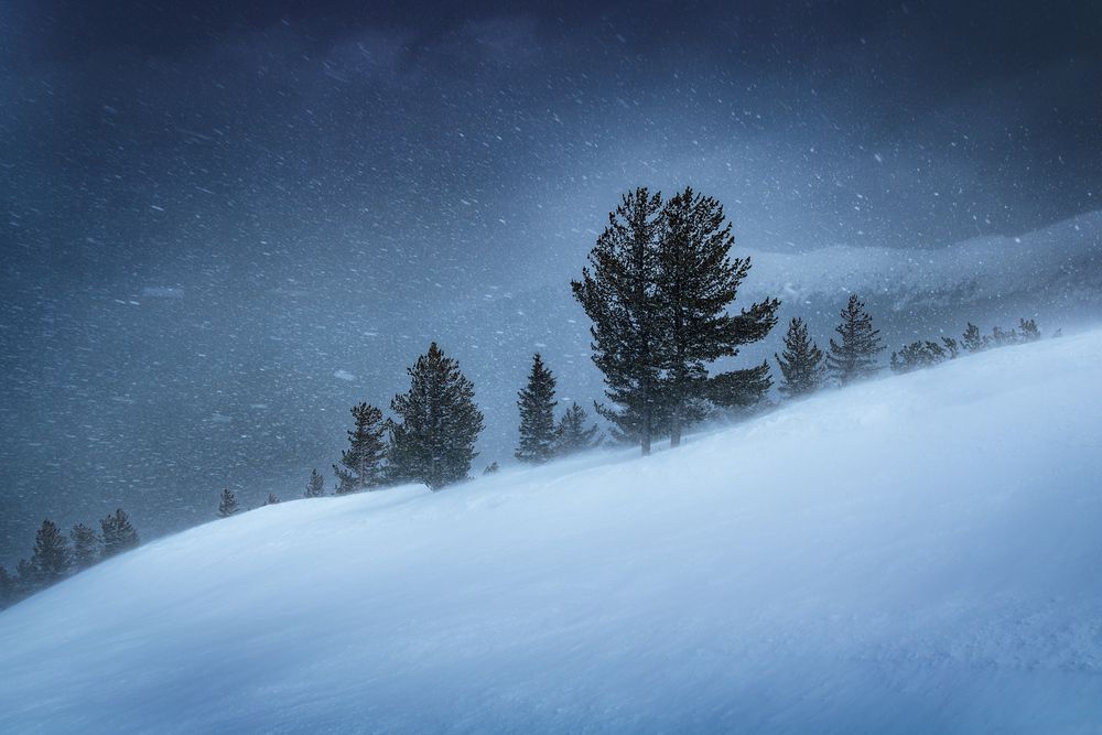 Photograph by Vania Tonova