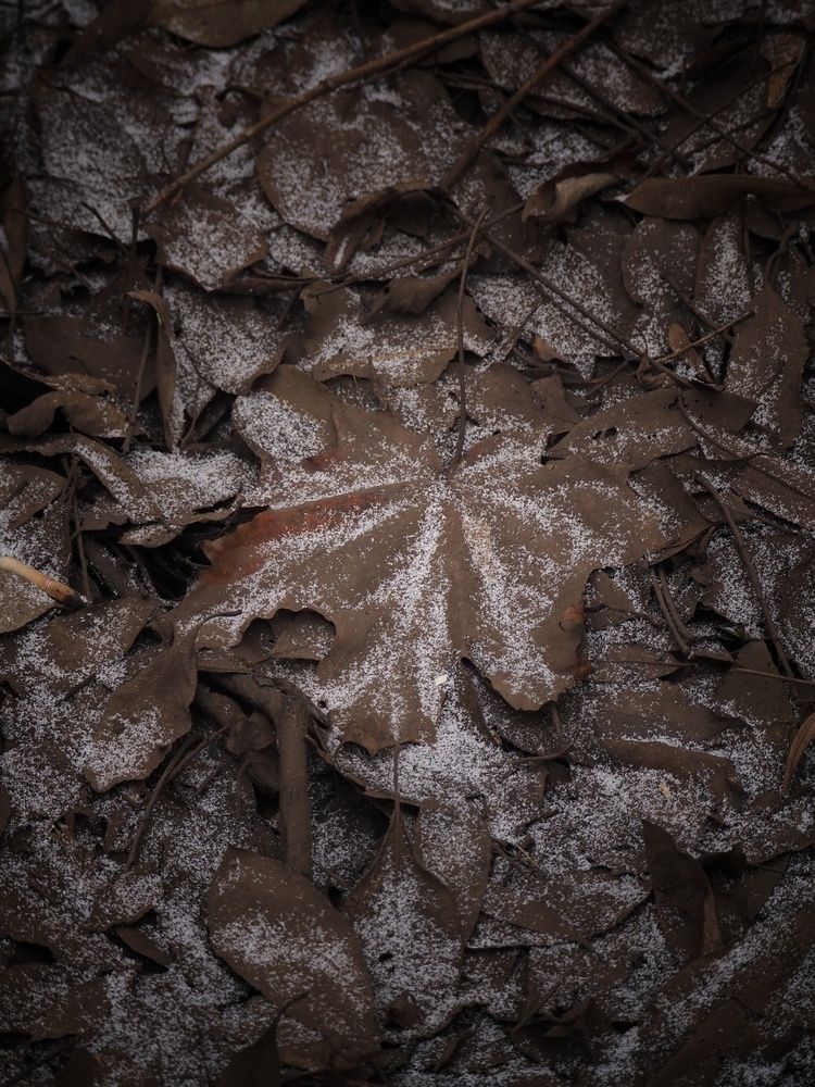 Photograph by Елена Синицына