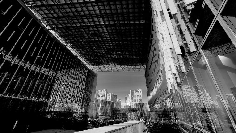 Фотография автора Юлия Мальнева