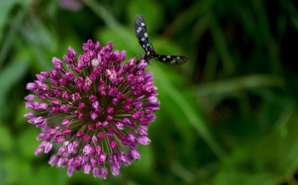 Фотография автора Мелащенко Катя