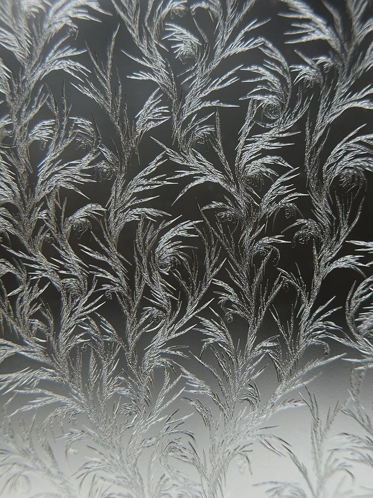 Photograph by Анастасия