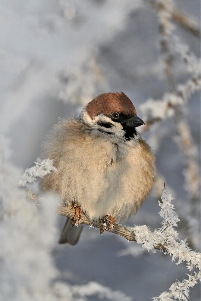 Photograph by IRINA FILIPPOVA