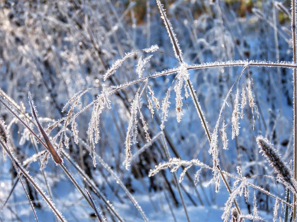 Photograph by Екатерина Солохина