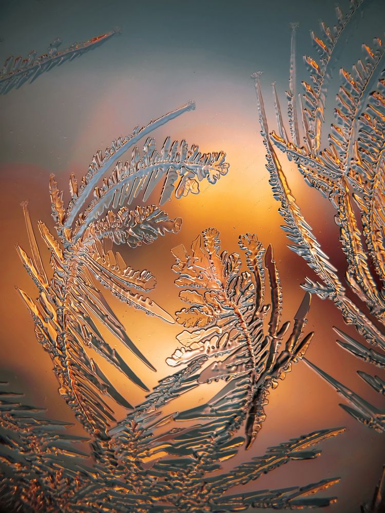 Photograph by Lapshina Vladlena