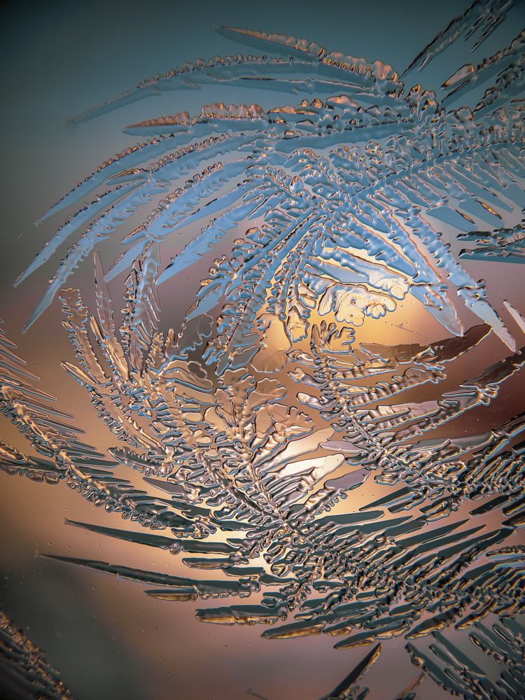 Photograph by Lapshina Vladlena