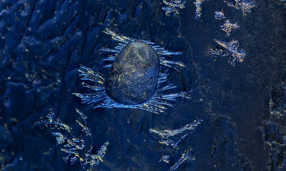 Photograph by Тараненко Анжелика