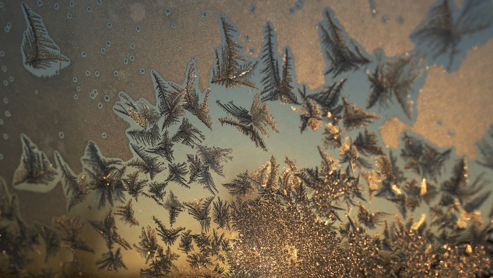 Photograph by Железнова Людмила