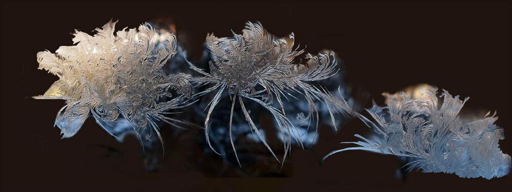 Photograph by Михаил Строев