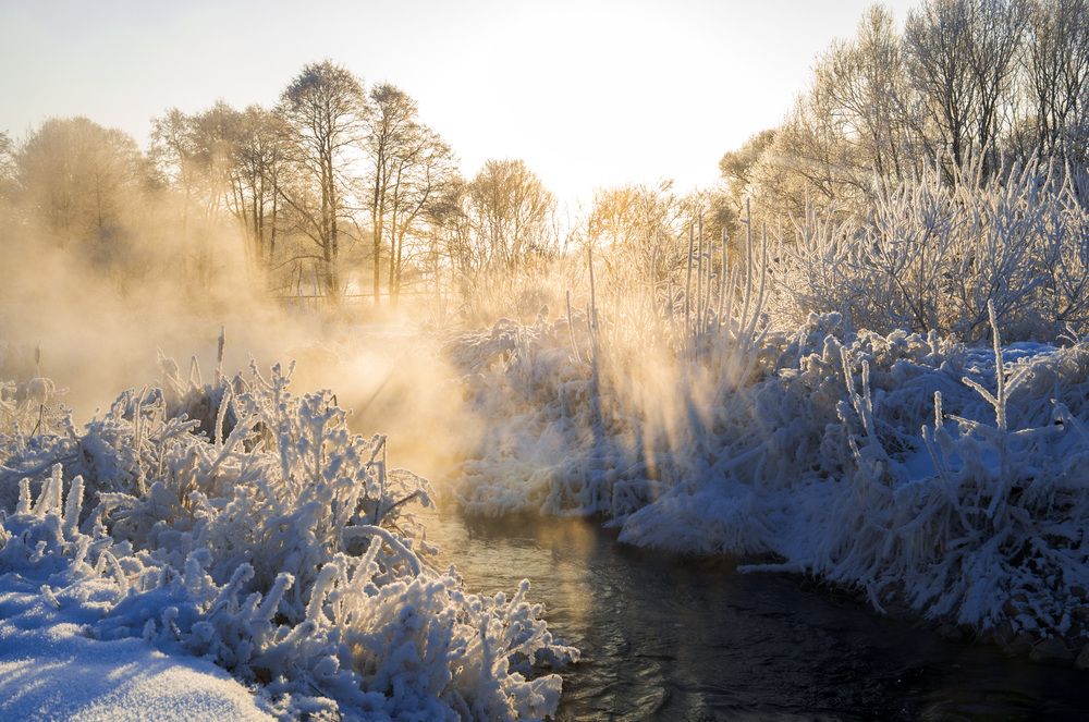 Photograph by Александр Журавлев