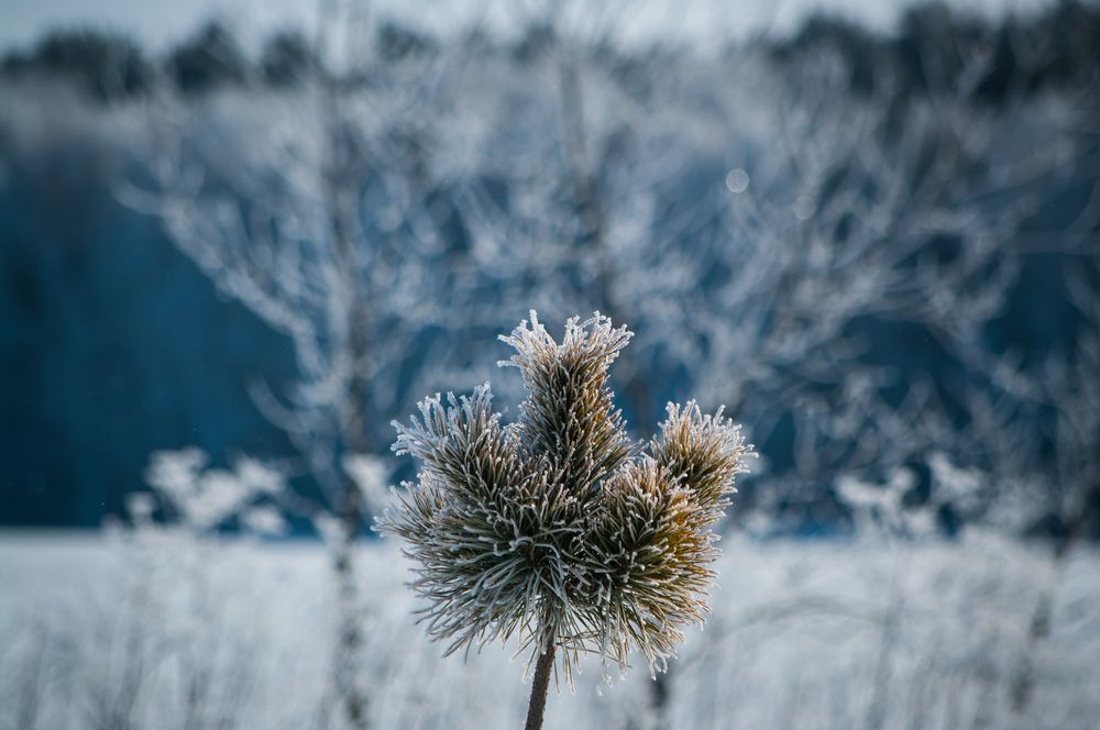 Photograph by Николай Захаров