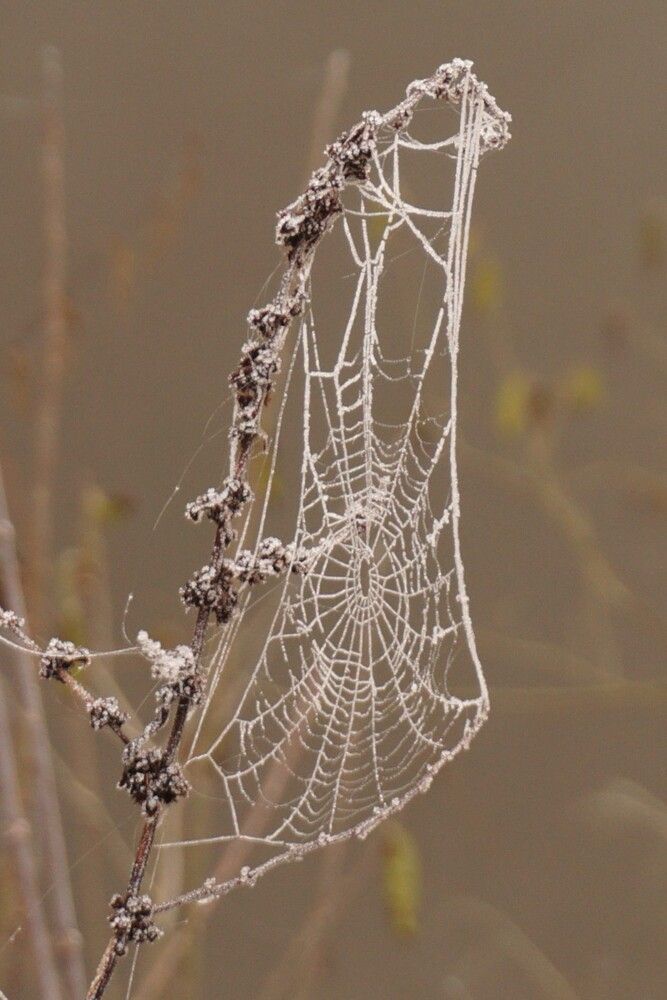 Photograph by Алфия Бугакова